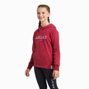 Kids' Ariat 3D Logo 2.0 Hoodie Red | EDSM-62095