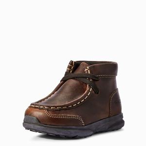 Kids' Ariat Lil' Stompers Garrison Spitfire Casual Shoes Brown | WMZJ-78350
