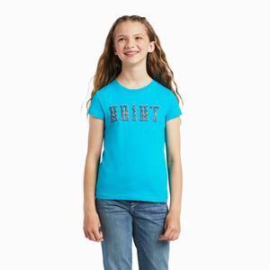 Kids' Ariat REAL Kinship Graphic Polo Shirts Multicolor | PEFM-23956