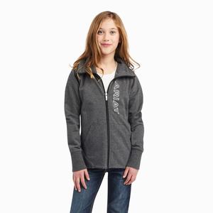 Kids' Ariat Team Logo Full Zip Hoodie Grey | NJIX-94781