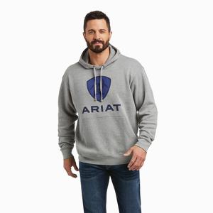 Men's Ariat Basic Hoodie Deep Blue | FDIL-39261