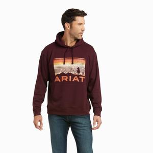 Men's Ariat Basic Hoodie Multicolor | TFLX-01483