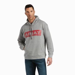 Men's Ariat Basic Hoodie Orange | HQJR-70129