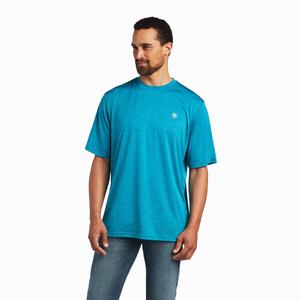 Men's Ariat Charger Basic Polo Shirts Multicolor | IBXP-91372