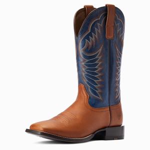 Men's Ariat Circuit Fargo Western Boots Multicolor | DSKA-63457