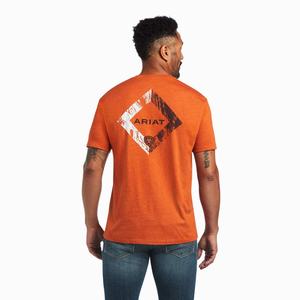 Men's Ariat Diamond Wood Polo Shirts Multicolor | ICXQ-80736