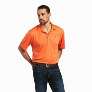 Men's Ariat TEK Polo Shirts Multicolor | CGDT-01498