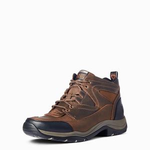 Men's Ariat Terrain Hiking Boots Brown | SVEB-48091