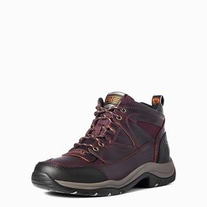 Men's Ariat Terrain Hiking Boots Dark Brown | FCQR-41985