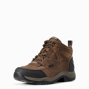 Men's Ariat Terrain Waterproof Insulated Riding Boots Brown | BFRQ-54069