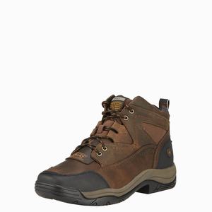 Men's Ariat Terrain Wide Square Toe Steel Toe Hiking Boots Brown | OMAF-56821