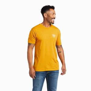 Men's Ariat Woodlands Polo Shirts Multicolor | XUVJ-28160