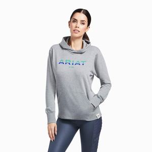 Women's Ariat 3D Logo 2.0 Hoodie Grey | LOEN-07421