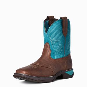 Women's Ariat Anthem Western Boots Multicolor | MCKP-37815