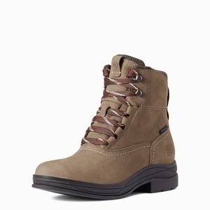 Women's Ariat Harper Waterproof Riding Boots Multicolor | PYKX-65843