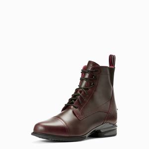 Women's Ariat Performer Nitro Paddock Riding Boots Chocolate | NGZQ-62794