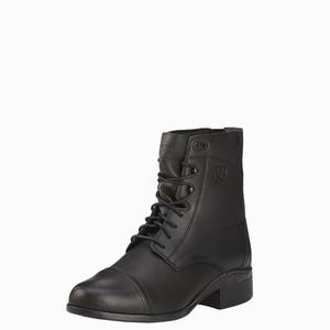 Women's Ariat Scout Paddock Riding Boots Black | XWKV-64378