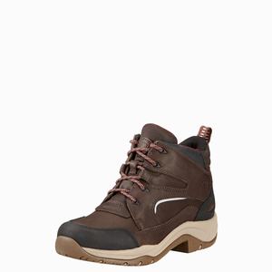 Women's Ariat Telluride II H2O Riding Boots Brown | PZDQ-40593