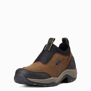Women's Ariat Terrain Ease Waterproof Riding Boots Brown | QULO-39846