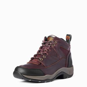Women's Ariat Terrain Hiking Boots Dark Brown | LUHJ-82763